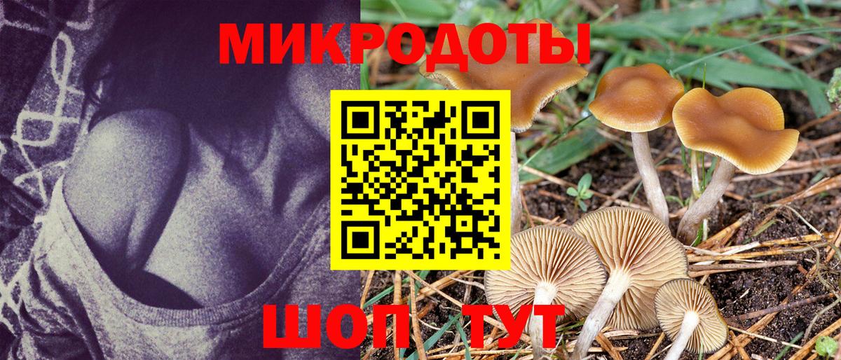 Псилоцибиновые грибы ЛСД  Вход с VPN  Гурьевск 